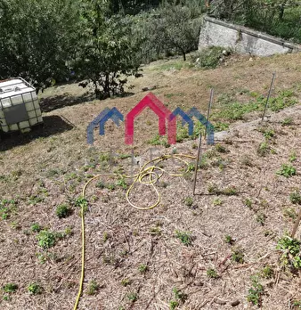 Foto annuncio 52