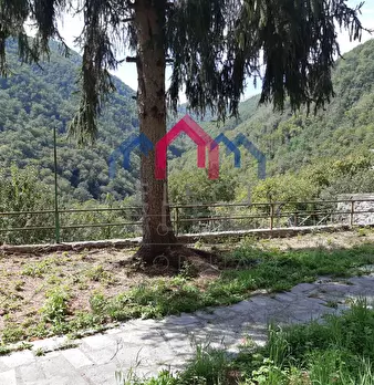 Foto annuncio 48