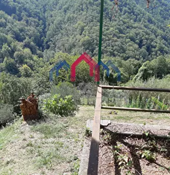 Foto annuncio 65