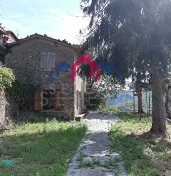 Foto annuncio 44