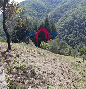 Foto annuncio 55