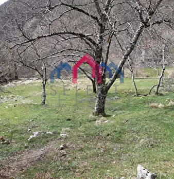 Foto annuncio 54