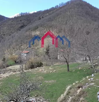 Foto annuncio 37