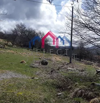 Foto annuncio 20
