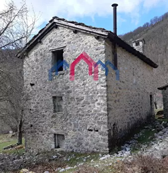 Foto annuncio 19