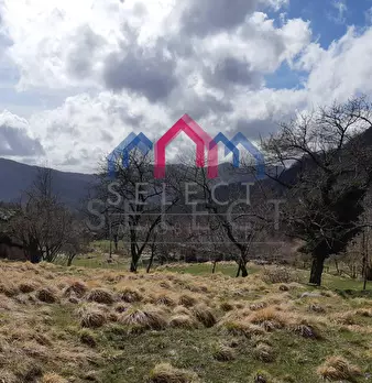 Foto annuncio 56