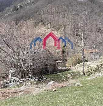 Foto annuncio 53