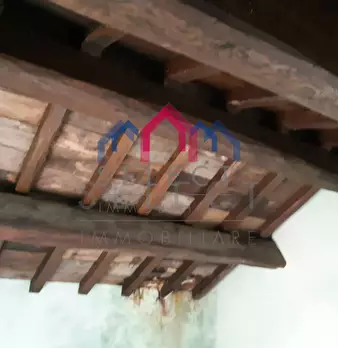 Foto annuncio 29