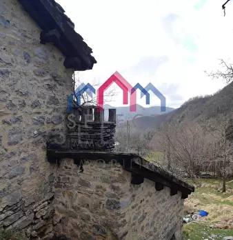 Foto annuncio 41