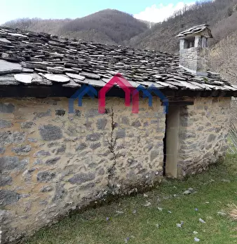 Foto annuncio 47