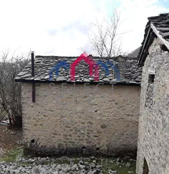 Foto annuncio 46