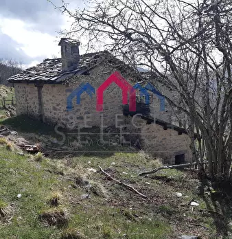 Foto annuncio 4