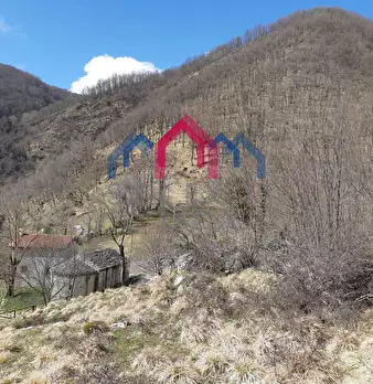 Foto annuncio 57
