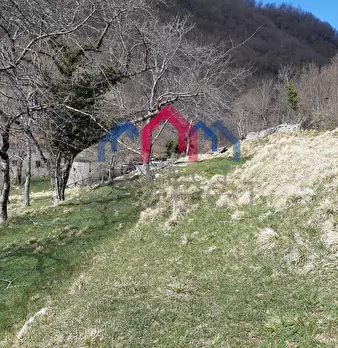 Foto annuncio 55