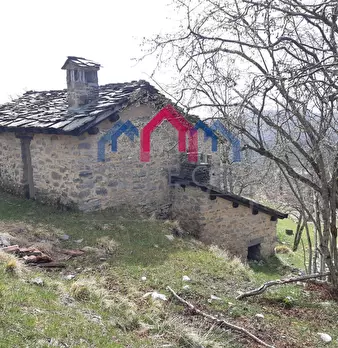 Foto annuncio 49