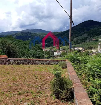 Foto annuncio 31