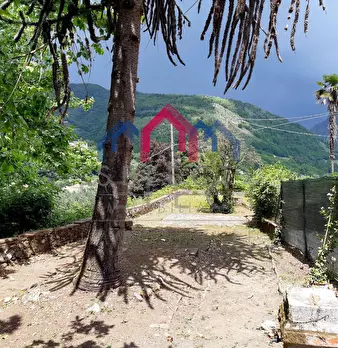 Foto annuncio 33