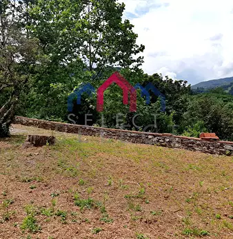 Foto annuncio 30