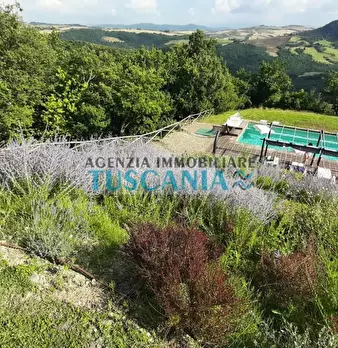 Foto annuncio 5