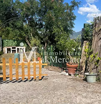 Foto annuncio 72