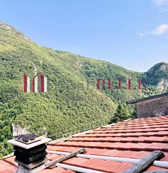 Foto annuncio 40