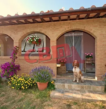 Foto annuncio 5