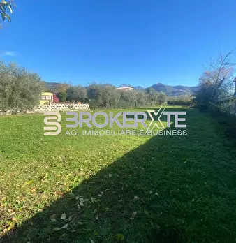 Foto annuncio 6