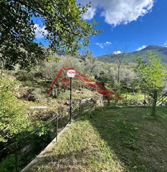 Foto annuncio 30