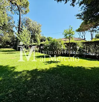 Foto annuncio 79