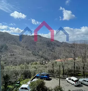 Foto annuncio 41