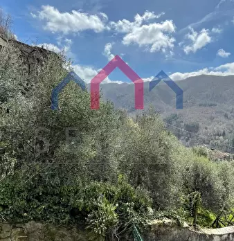 Foto annuncio 40