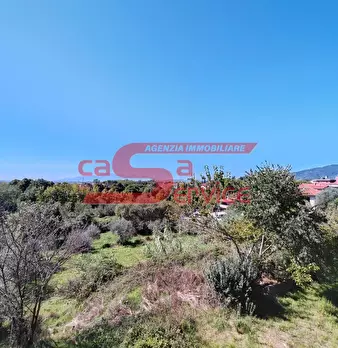 Foto annuncio 19