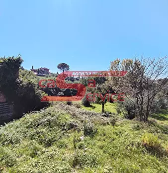 Foto annuncio 18