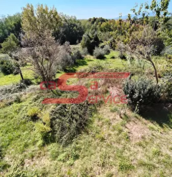 Foto annuncio 20