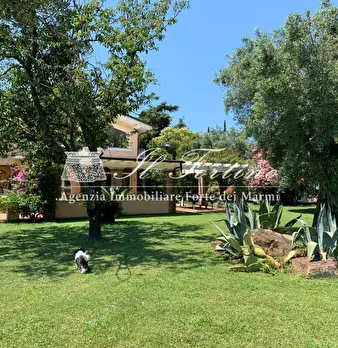 Foto annuncio 8