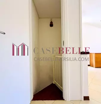 Foto annuncio 126