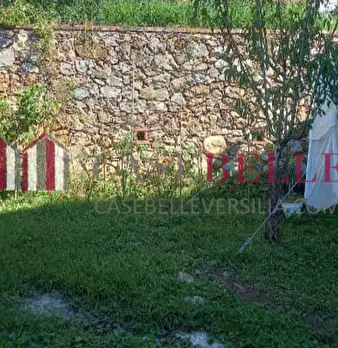 Foto annuncio 33