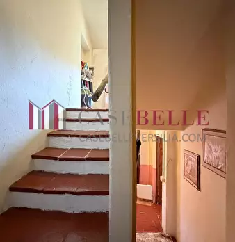 Foto annuncio 19