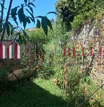Foto annuncio 31