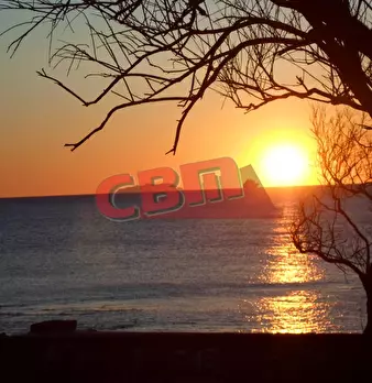 Foto annuncio 26