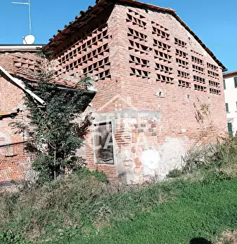 Foto annuncio 7