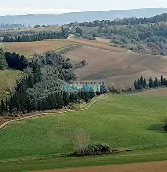 Foto annuncio 21
