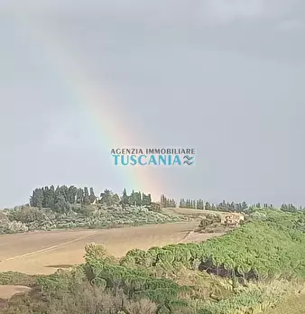 Foto annuncio 15