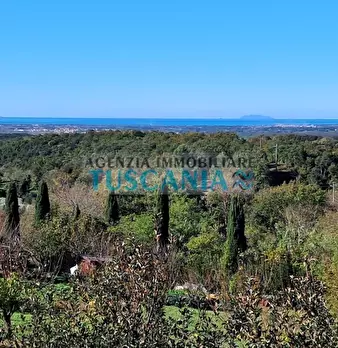 Foto annuncio 6