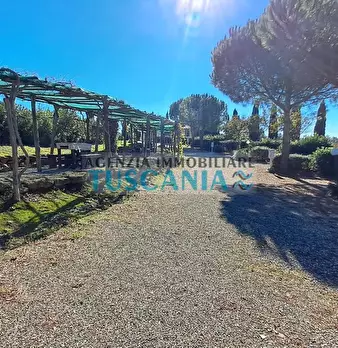 Foto annuncio 17