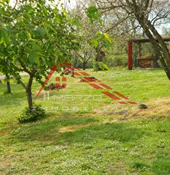 Foto annuncio 69