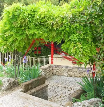 Foto annuncio 45