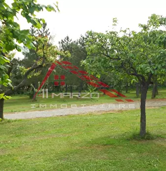 Foto annuncio 74