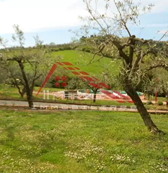 Foto annuncio 57