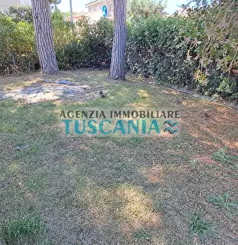 Foto annuncio 12